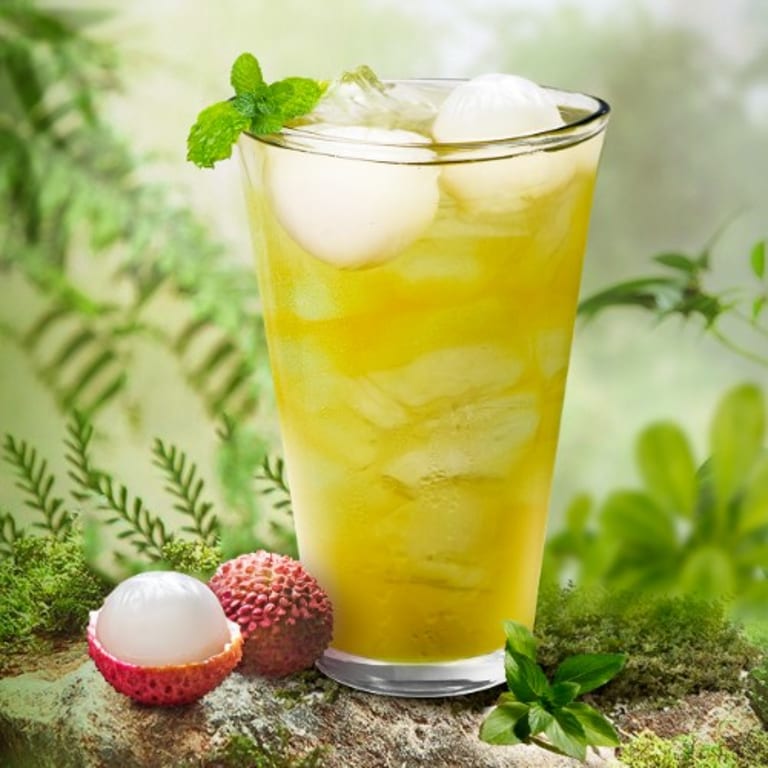 Discover Our Unique Tea Selection